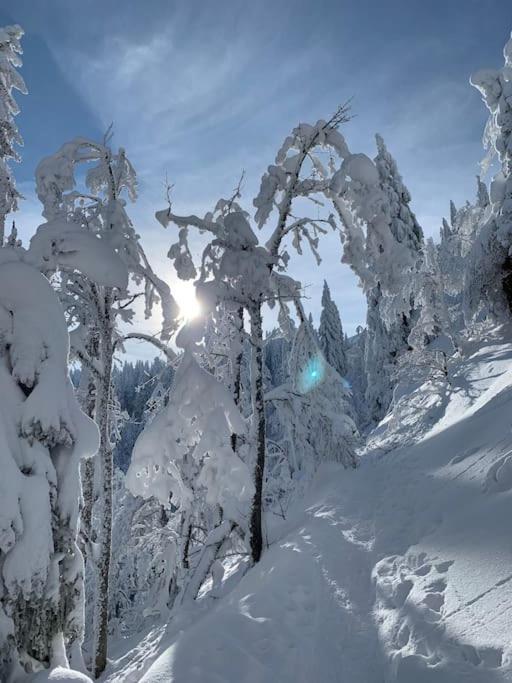 Stube9 Am Feldberg, Direkt An Der Skipiste, Ski In-Ski Out Feldberg (Baden-Wurttemberg) Exterior foto